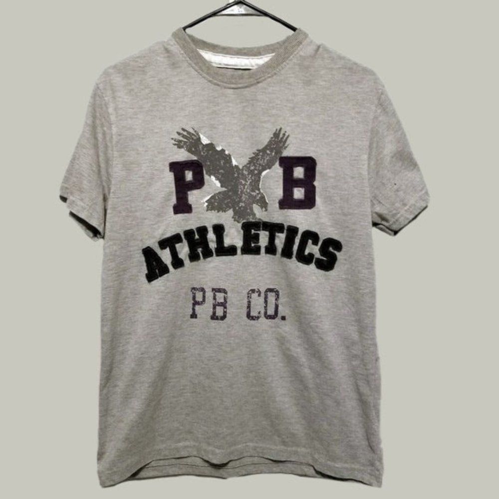 American Eagle Pacific Blue Mens Gray Shirt